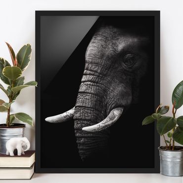Plakat w ramie - Portret ciemnego słonia