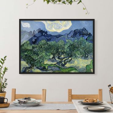 Plakat w ramie - Vincent van Gogh - Drzewa oliwne