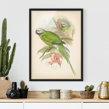 Plakat w ramie - Ilustracja w stylu vintage Ptaki tropikalne II