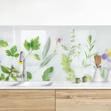 Panel ścienny do kuchni - Zioła i kwiaty II