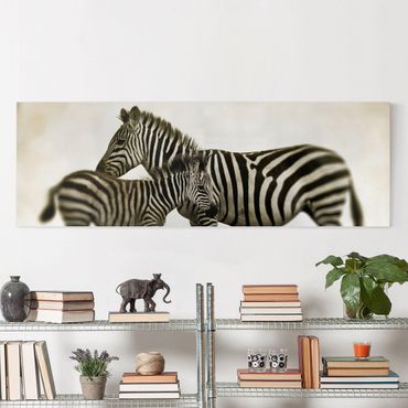 Obraz na płótnie - Para zebr