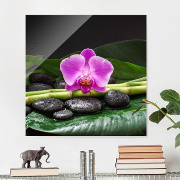 Obraz na szkle - Zielony bambus z kwiatem orchidei