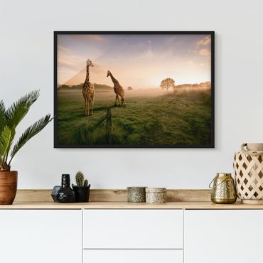 Plakat w ramie - Surrealistyczne żyrafy