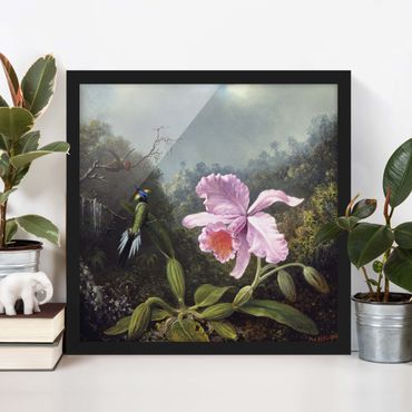 Plakat w ramie - Martin Johnson Heade - Martwa natura z orchideą i dwoma kolibrami