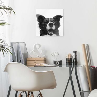 Obraz na szkle - Ilustracja pies Border Collie czarno-biały malarstwo