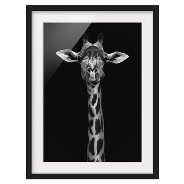 Plakat w ramie - Portret ciemnej żyrafy