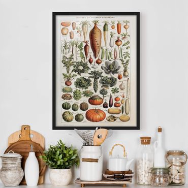 Plakat w ramie - Tablica edukacyjna w stylu vintage Warzywa