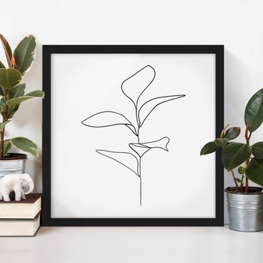 Plakat w ramie - Line Art Liście roślin Czarne Białe