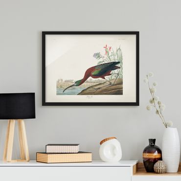 Plakat w ramie - Tablica edukacyjna w stylu vintage Brązowy ibis