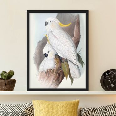Plakat w ramie - Pastelowe papugi III