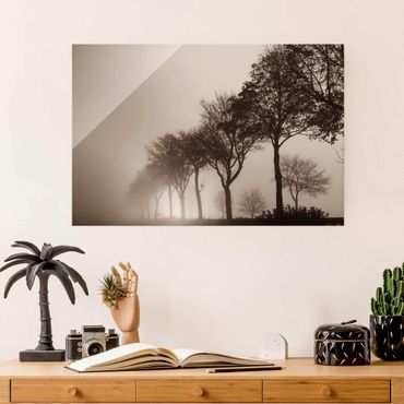 Obraz na szkle - Aleja drzew w porannej mgle