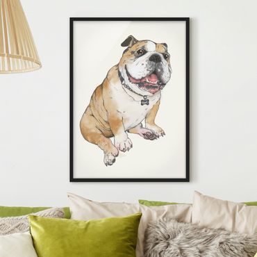 Plakat w ramie - ilustracja pies buldog obraz