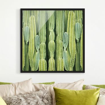 Plakat w ramie - Ściana kaktusów