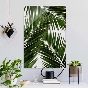 Obraz na szkle - Widok przez zielone liście palmy