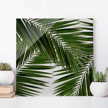 Obraz na szkle - Widok przez zielone liście palmy