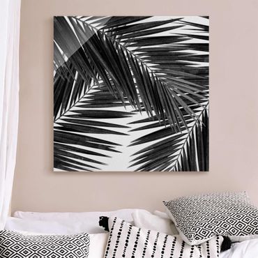 Obraz na szkle - Widok na liście palmy, czarno-biały