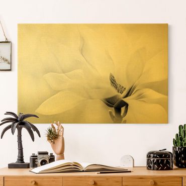 Złoty obraz na płótnie - Czarno-biały kwiat magnolii