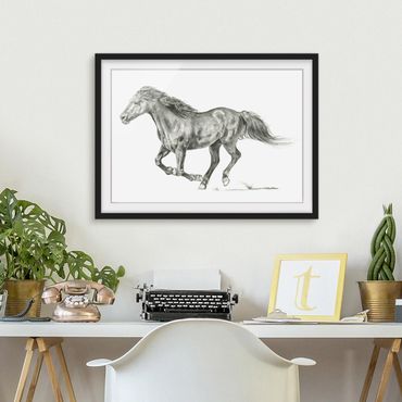 Plakat w ramie - Badanie dzikich koni - klacz