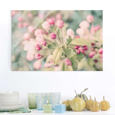 Obraz na szkle - Kwiat jabłoni bokeh różowy