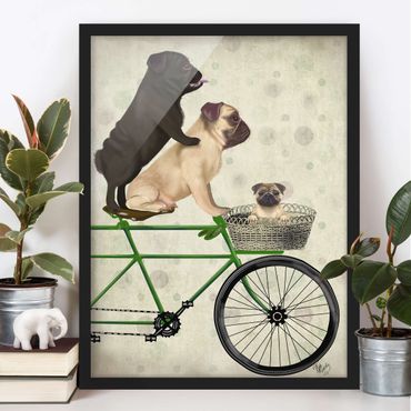 Plakat w ramie - Wycieczka rowerowa - Pugs On Bike