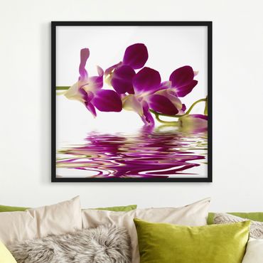 Plakat w ramie - Wody różowej orchidei