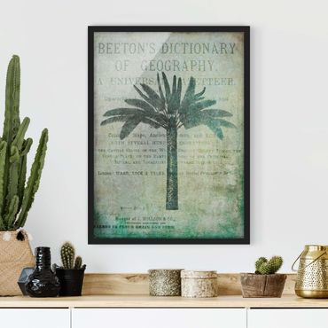Plakat w ramie - Kolaż w stylu vintage - antyczne drzewo palmowe