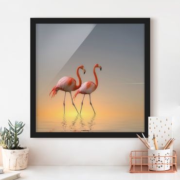 Plakat w ramie - Miłość flaminga