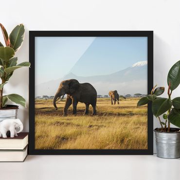 Plakat w ramie - Słonie na tle Kilimandżaro w Kenii