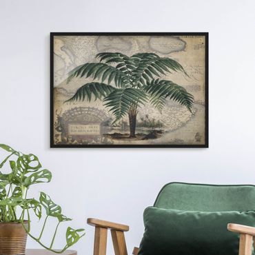 Plakat w ramie - Kolaż w stylu vintage - drzewo palmowe i mapa świata