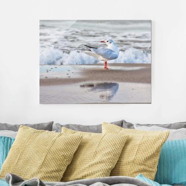 Obraz na szkle - Mewa na plaży przed morzem
