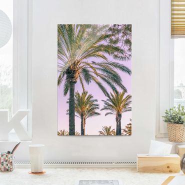 Obraz na szkle - Palmy w promieniach zachodzącego słońca