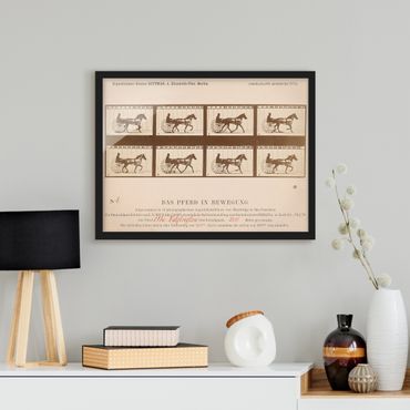 Plakat w ramie - Eadweard Muybridge - Koń w ruchu