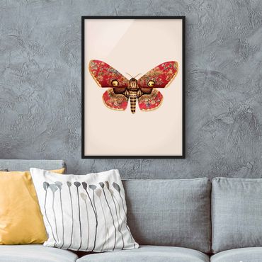 Plakat w ramie - Vintage Moth
