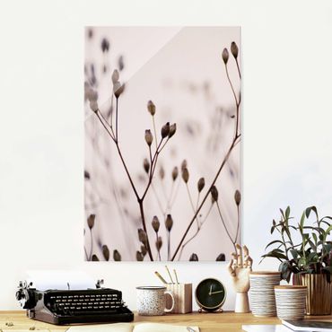 Obraz na szkle - Ciemne pąki na gałęzi dzikiego kwiatu