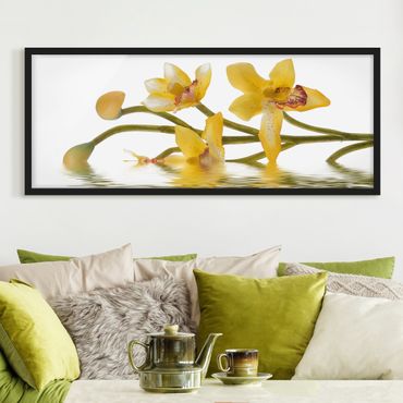 Plakat w ramie - Saffron Orchid Waters