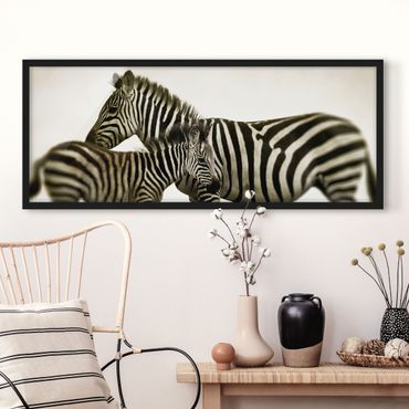 Plakat w ramie - Para zebr