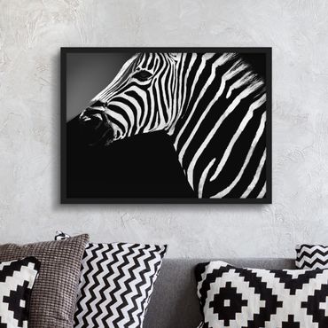 Plakat w ramie - Zebra Safari Art