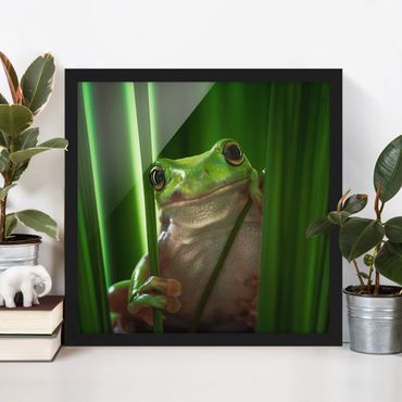 Plakat w ramie - Wesoła żaba