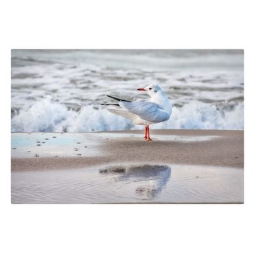 Obraz na płótnie - Mewa na plaży przed morzem