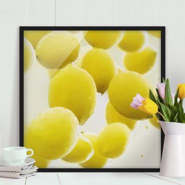 Plakat w ramie - Citrony w wodzie