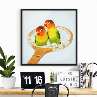 Plakat w ramie - Tenis z ptakami