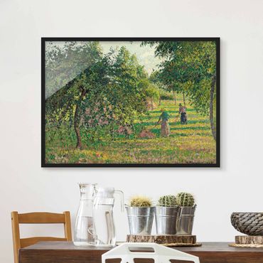 Plakat w ramie - Camille Pissarro - Jabłonie