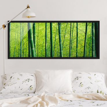 Plakat w ramie - Las bambusowy