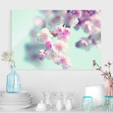 Obraz na szkle - Kolorowe kwiaty wiśni