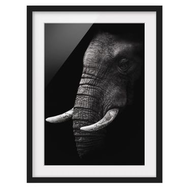 Plakat w ramie - Portret ciemnego słonia