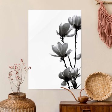 Obraz na szkle - Spring Messenger Magnolia czarno-biały