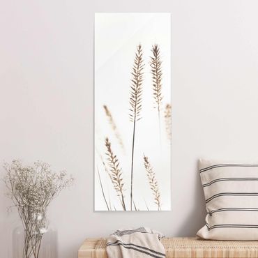 Obraz na szkle - Suszona trawa pszenicy grzebieniastej