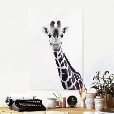 Obraz na szkle - Portret żyrafy w czerni i bieli