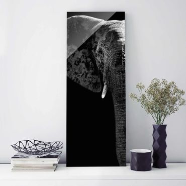 Obraz na szkle - Słoń afrykański czarno-biały