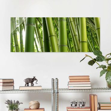 Obraz na szkle - Drzewa bambusowe Nr 1
